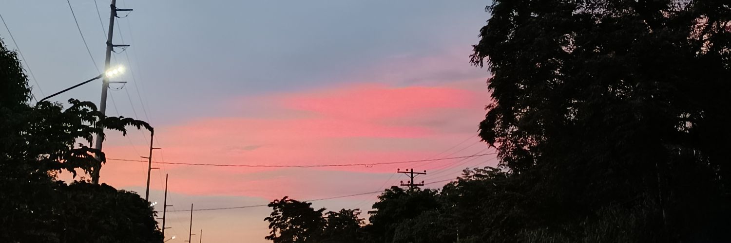erikaxnarvaez's profile banner image