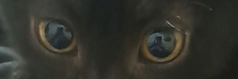 khagwsh's profile banner image