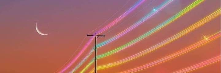 ​ 🅟🅐🅤🅛🤍🌹🌷🌸 banner