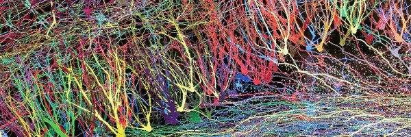 NeuroPilsen Profile Banner