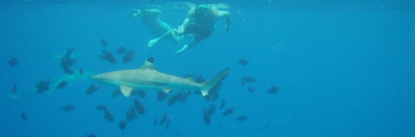 JDawsonwriter Profile Banner