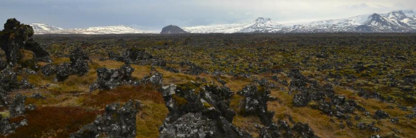 Davíð Þórisson banner