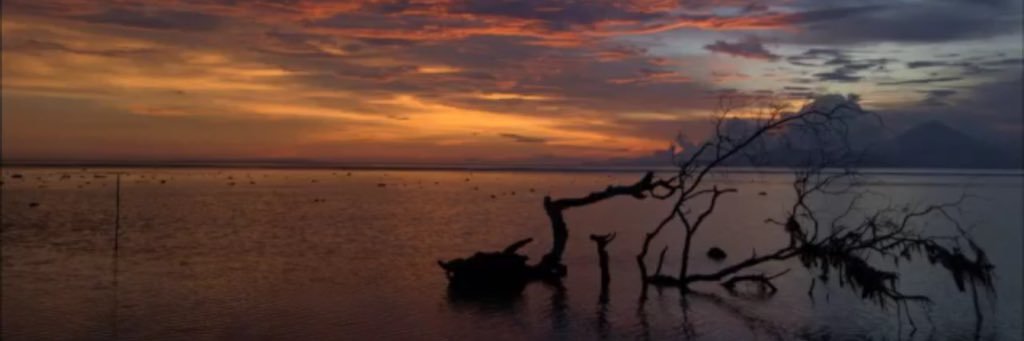 favore06's profile banner image