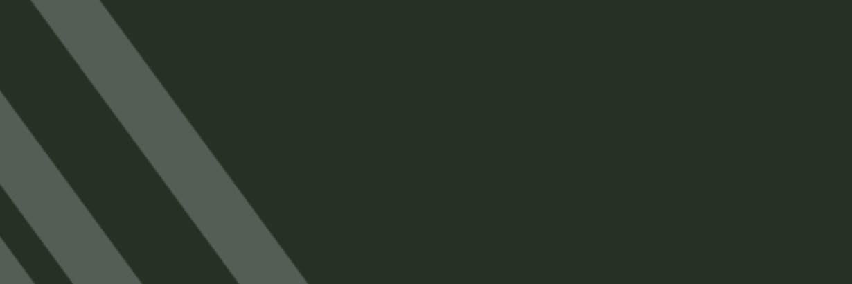 zariaahdes's profile banner image