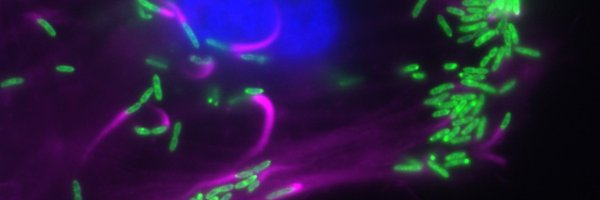 PlumifyM Profile Banner