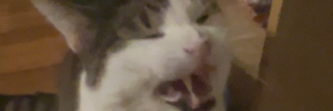 ILaemicI_'s profile banner image