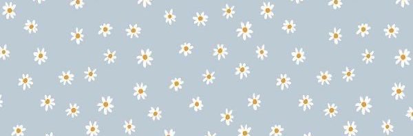 daisy banner
