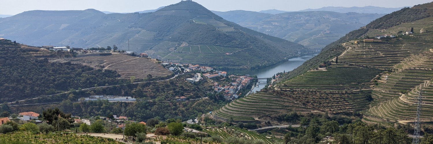 Michael Riley banner