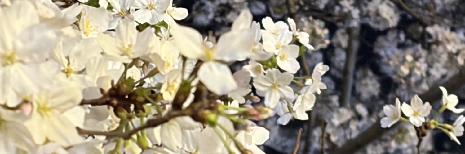 孤滴 banner