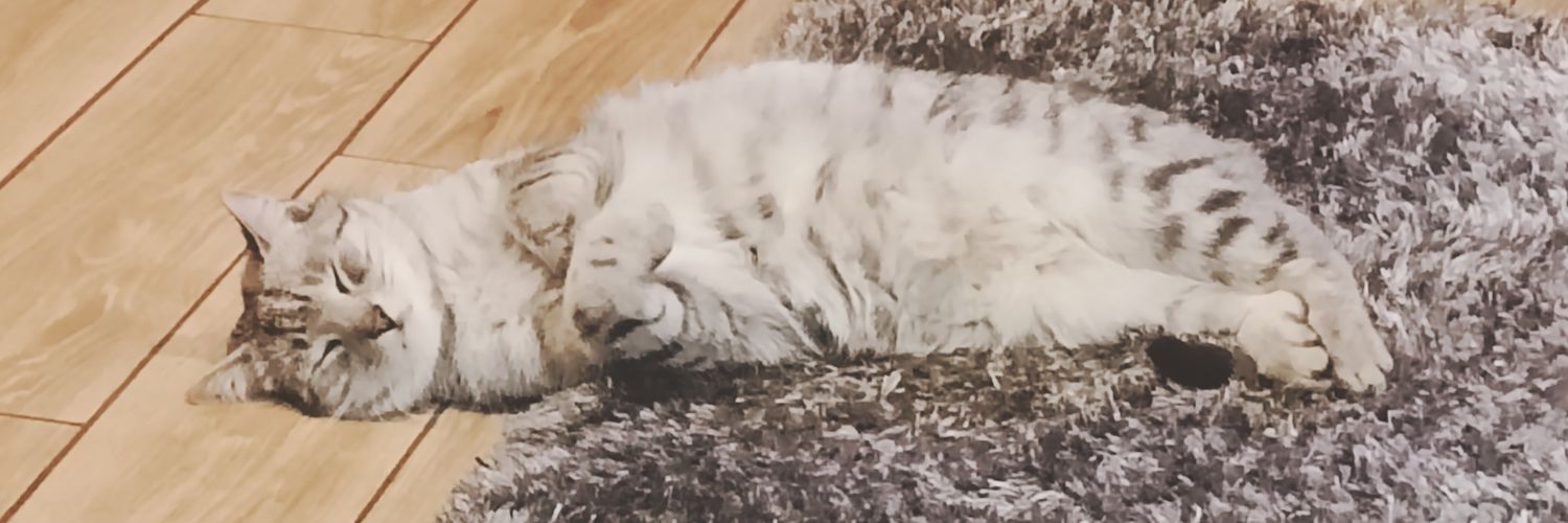 Pepperoni1942's profile banner image