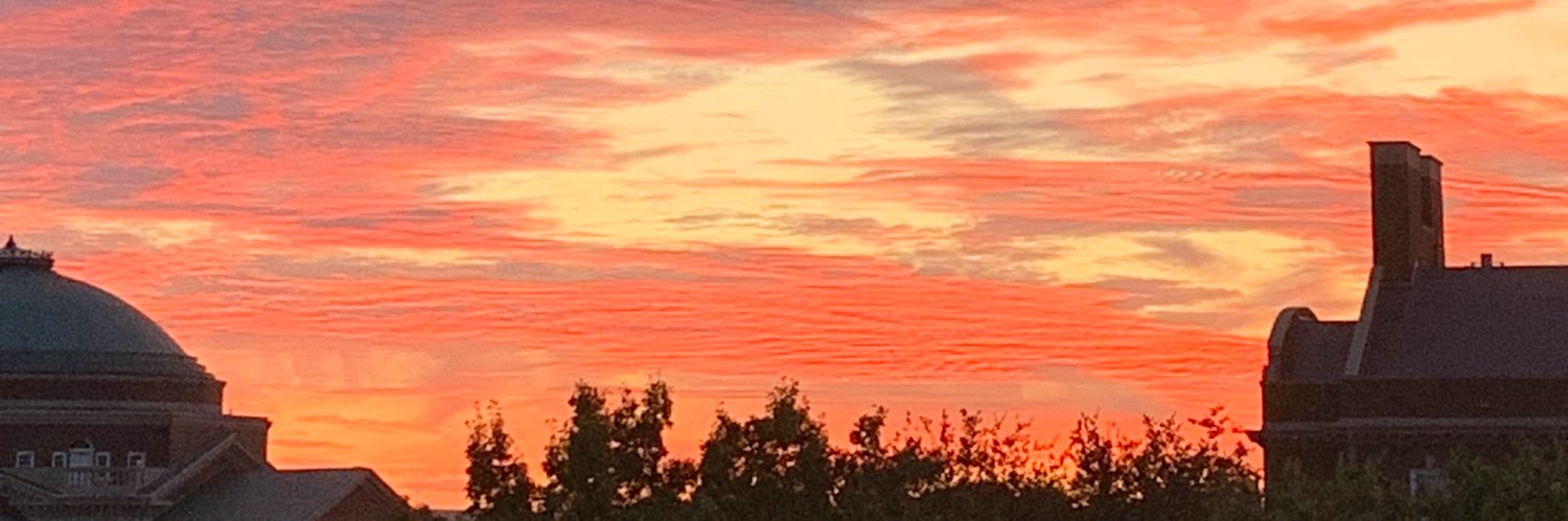 Rebekah Napier-Jameson banner