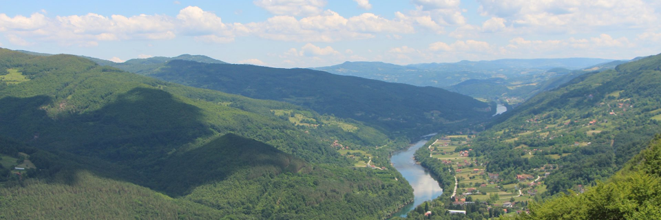Ivan Pavković banner