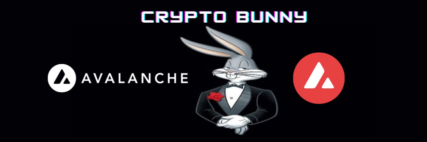 cryptobunnyyy's profile banner image