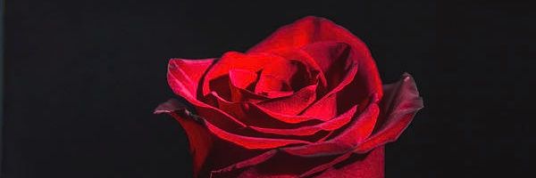 jamalisbetter69's profile banner image