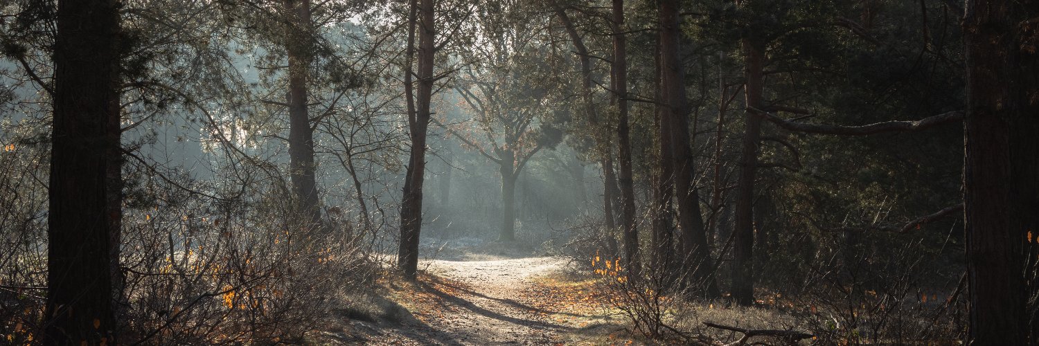DeJagerph's profile banner image