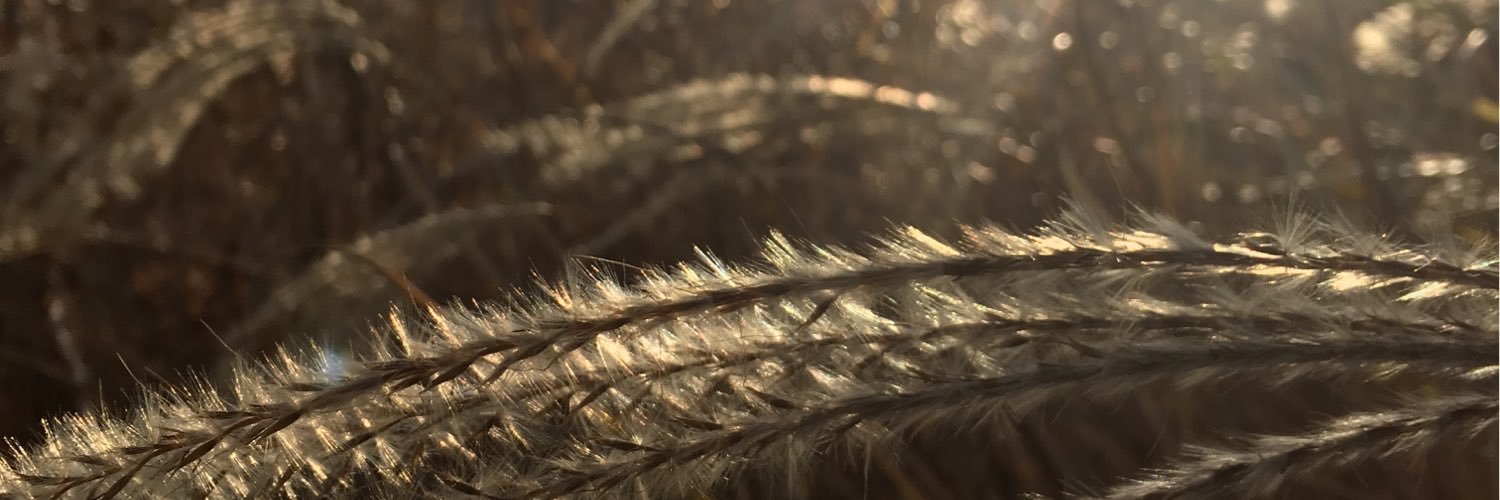 alexdadoof's profile banner image