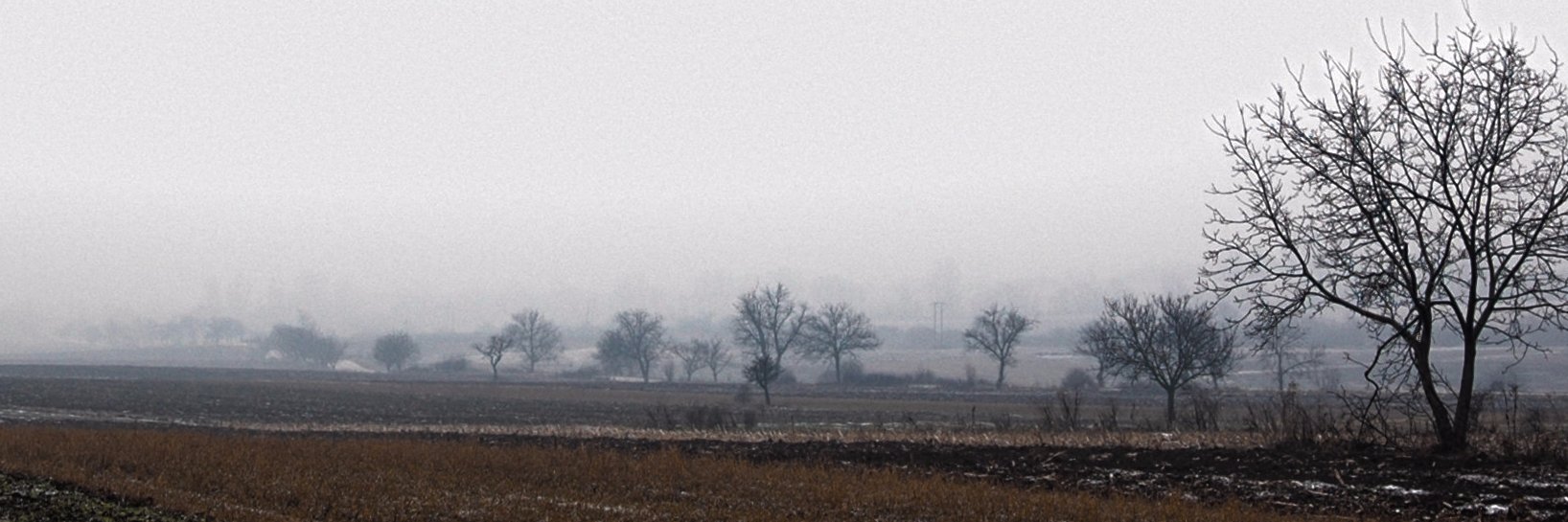 Vemil13's profile banner image
