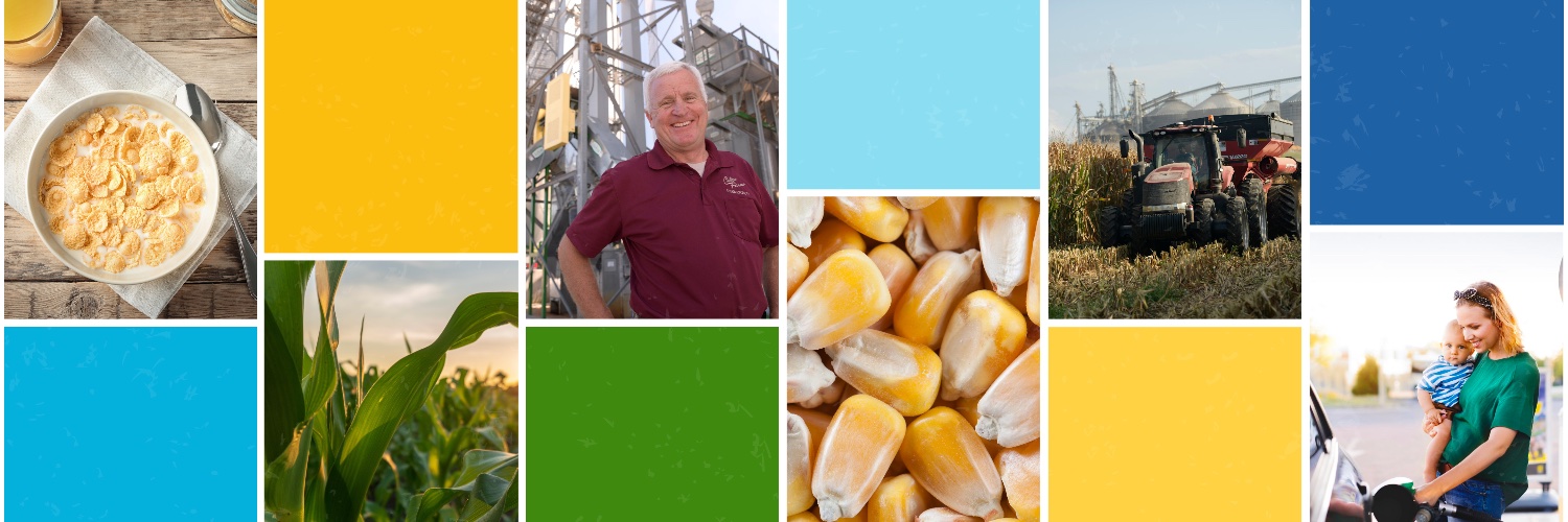 fueledbycorn's profile banner image