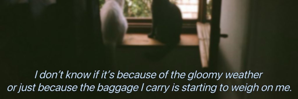 rica (⁠.⁠ ⁠❛⁠ ⁠ᴗ⁠ ⁠❛⁠.⁠) banner