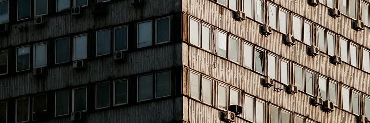 zé bonitinho banner