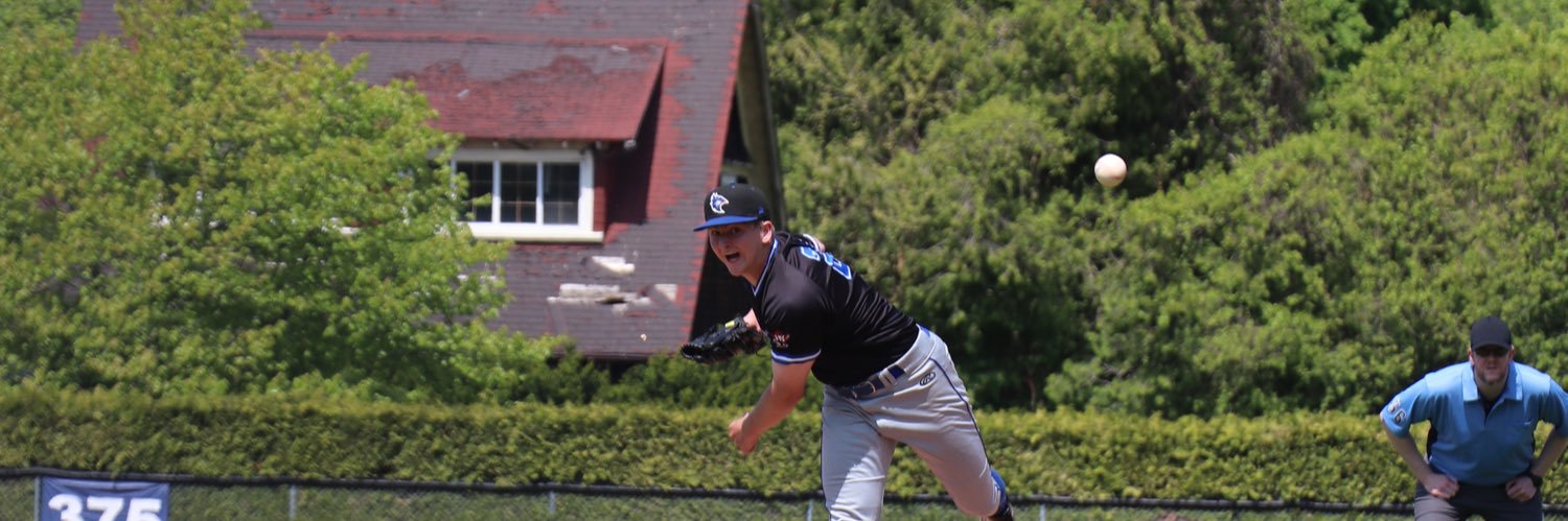 Geoffrey D’Amato banner