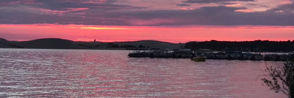 Ryan Langferman banner