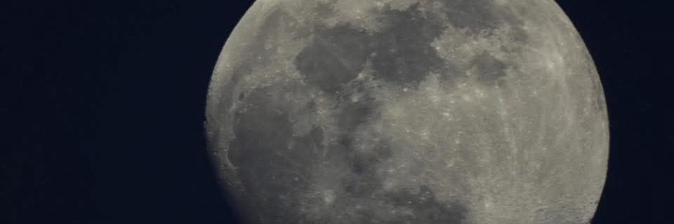 CWolf78413014's profile banner image
