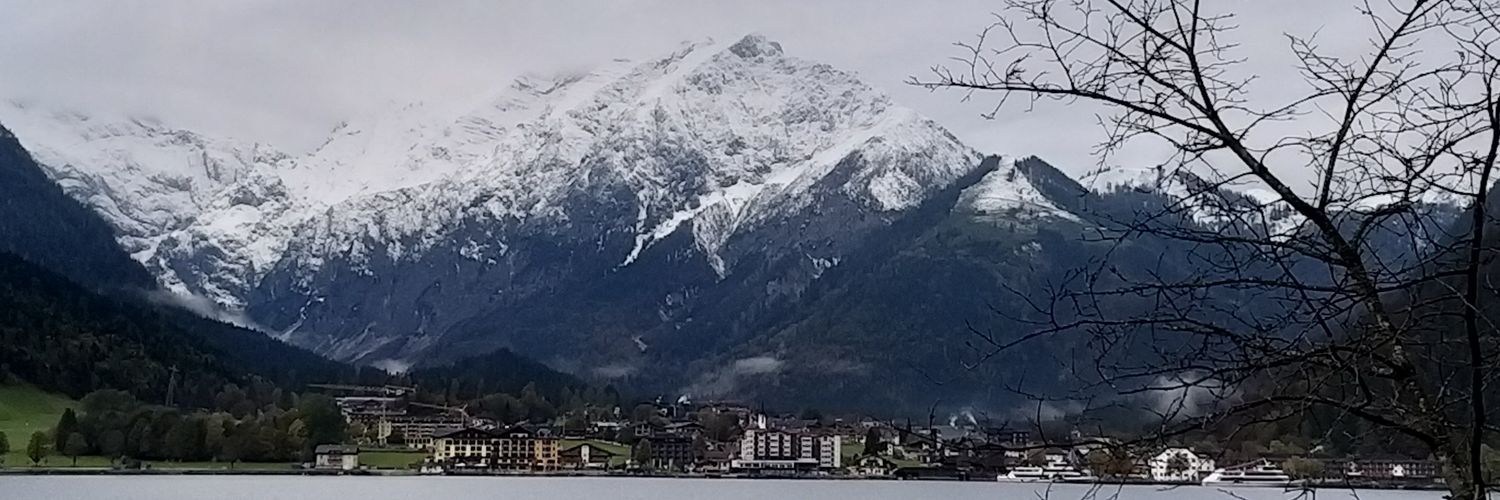 M. Celeste Artale banner