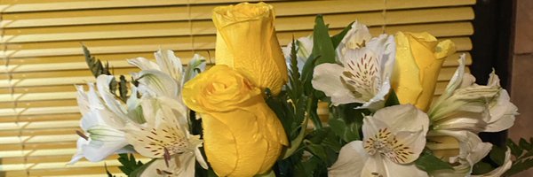 kndmala Profile Banner