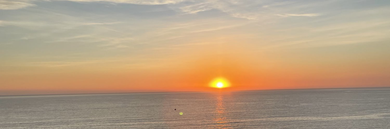 IreeneMacedo's profile banner image