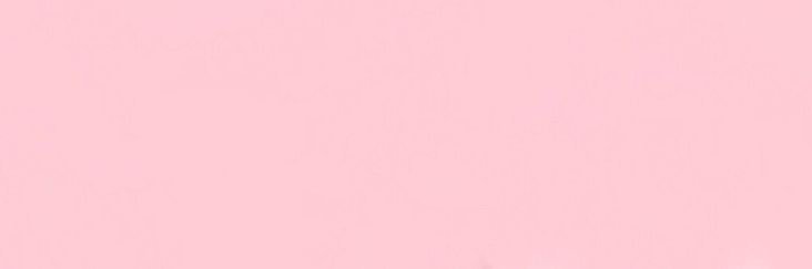 Raya banner