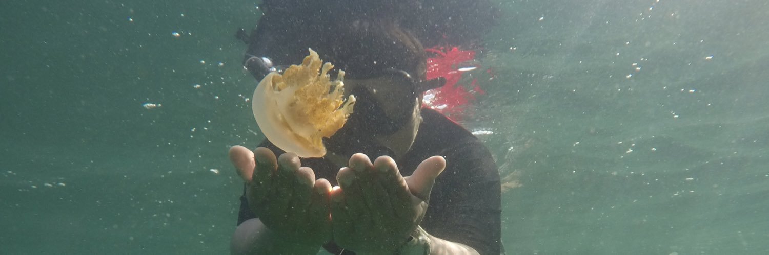 HendraMahriady's profile banner image