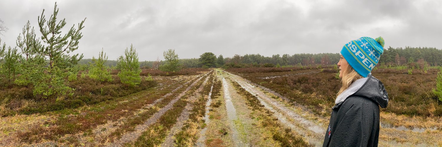 BonnieHatcher banner