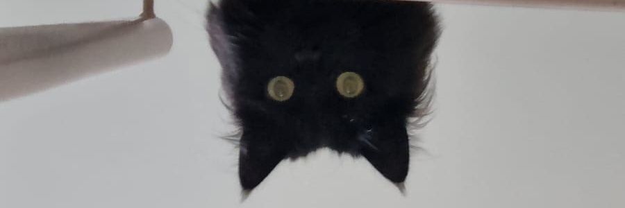 ayglozbk's profile banner image