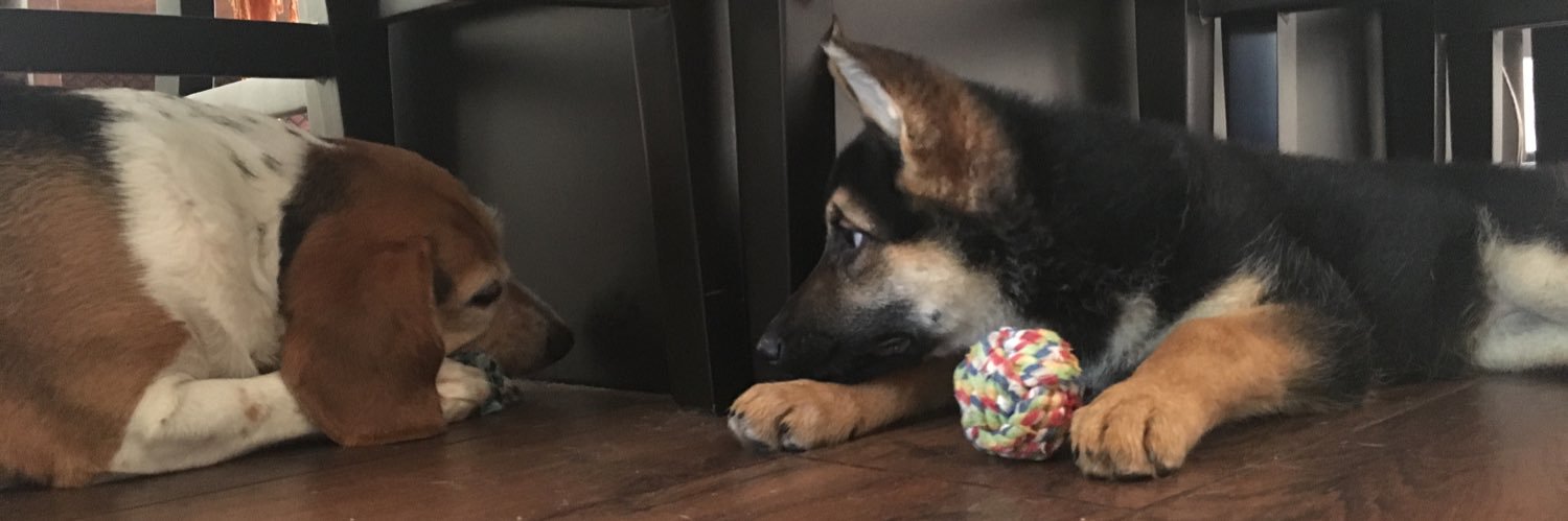eli_2092's profile banner image
