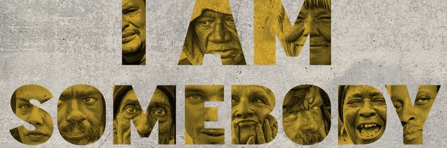 David Freeman banner