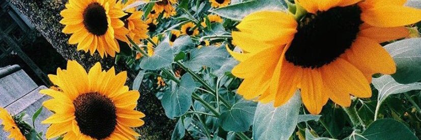 Simply__Robin's profile banner image