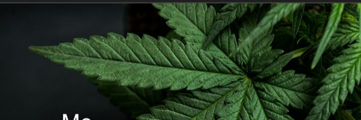 negrovergon140's profile banner image