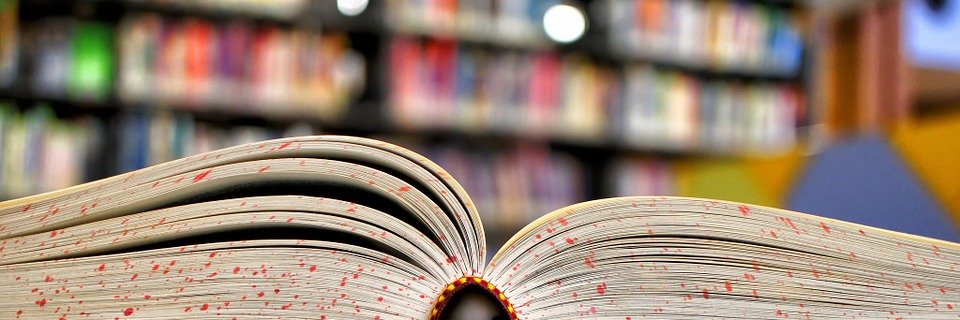 Charlene_F_L's profile banner image