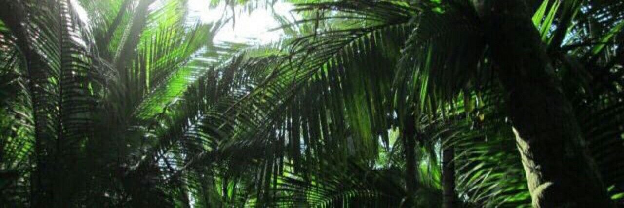 Jungle terror banner