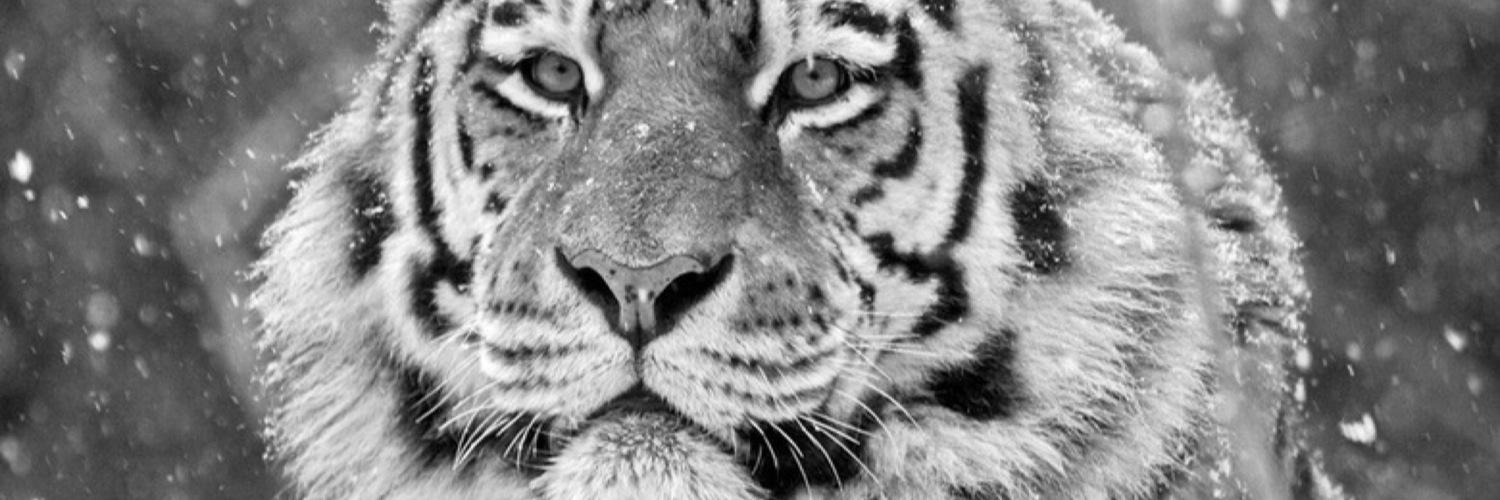 AlejandroCM__'s profile banner image