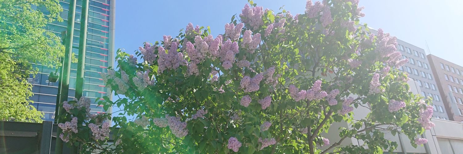 磊なぎ banner