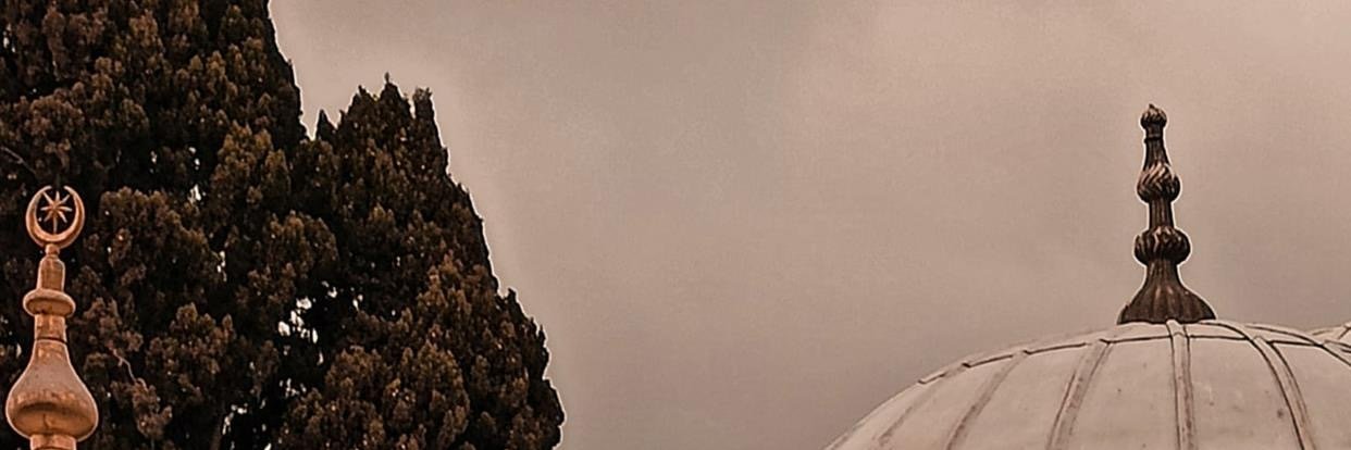 Wellman Marcos banner