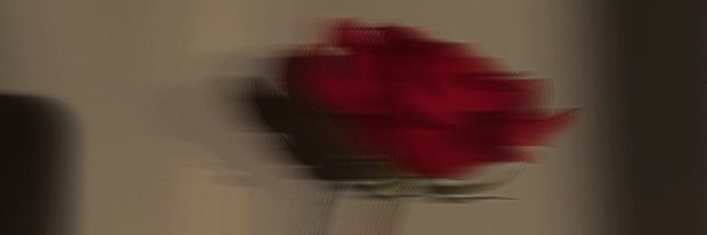 tlsk's profile banner image