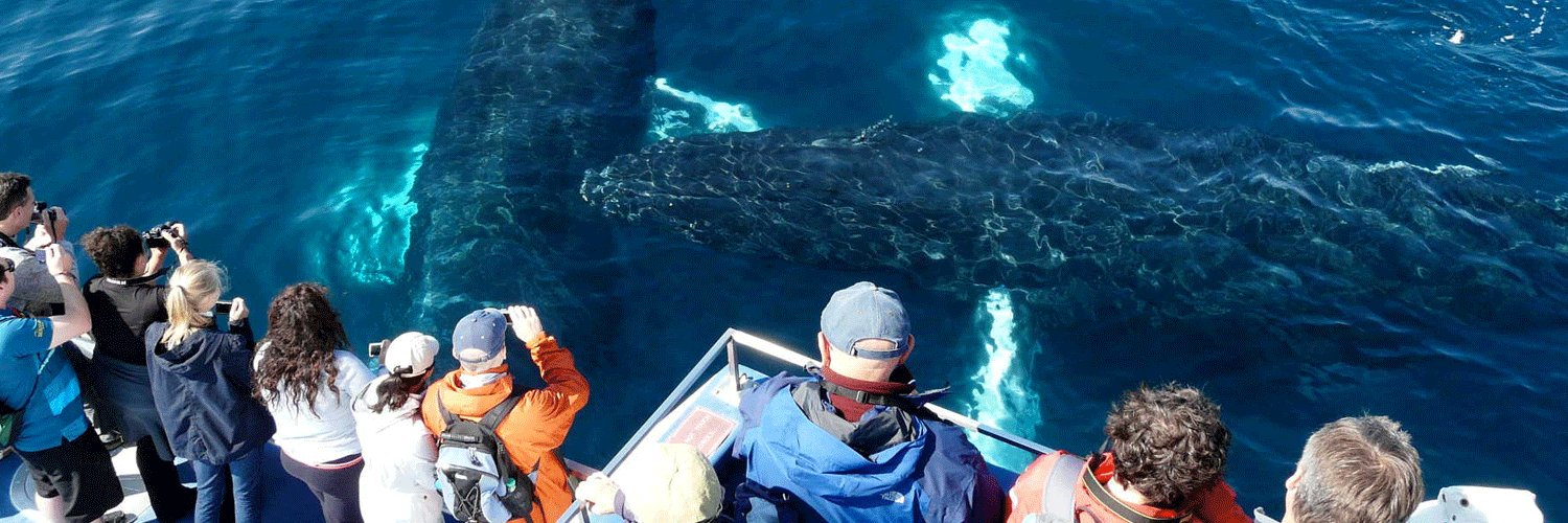 Gatherall's Boat Tours banner