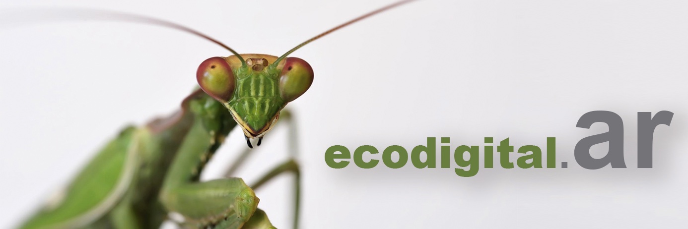 ecodigitalAR's profile banner image