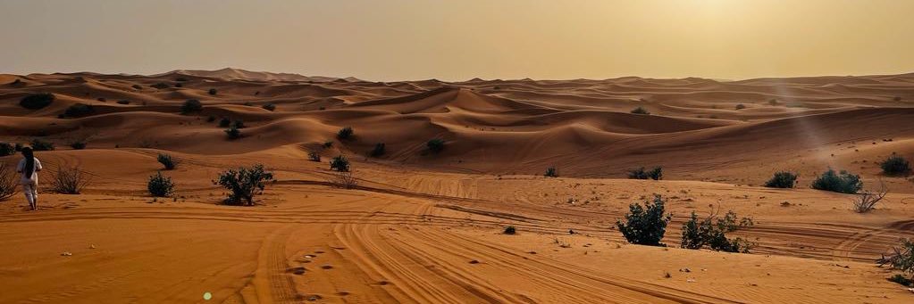 CARNEIRO Anthony banner