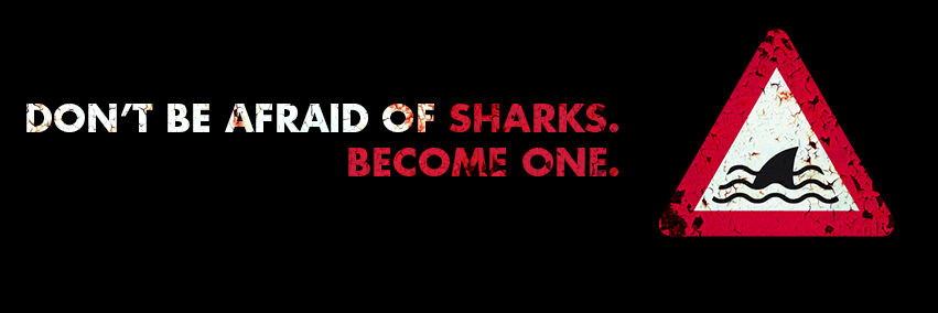 PokerStrategy France banner