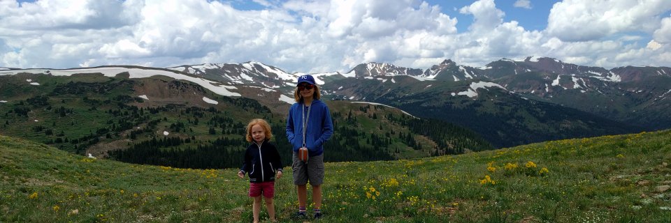 Angela Reilly-Harden banner