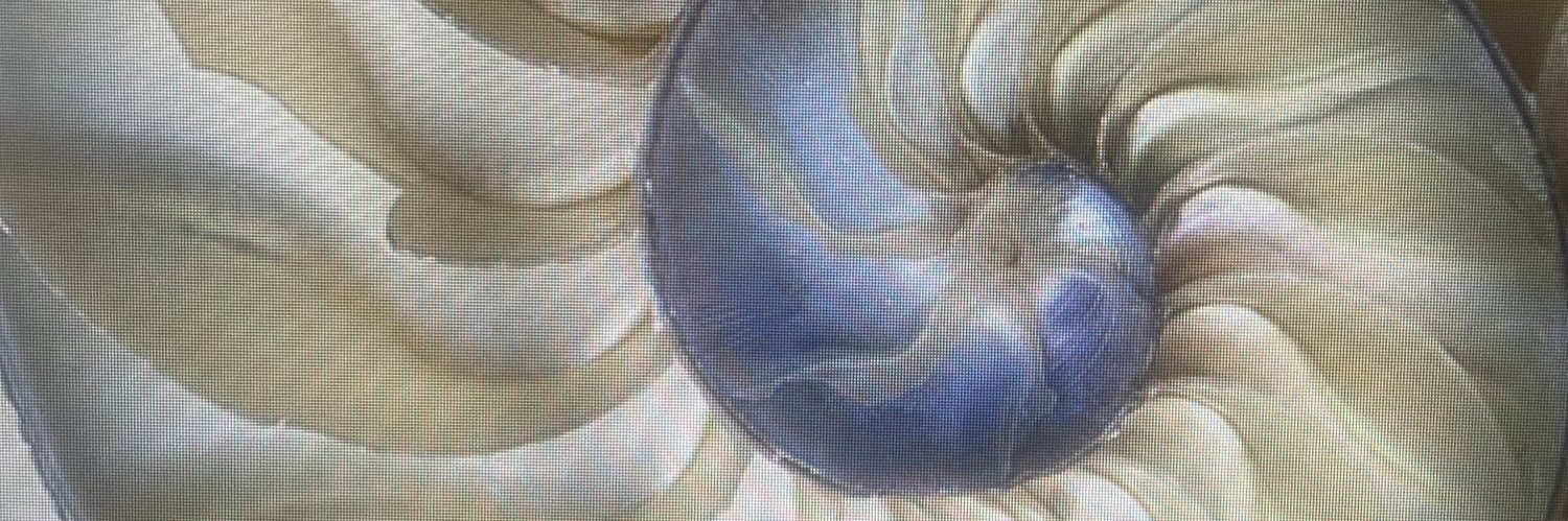 anamc_10's profile banner image